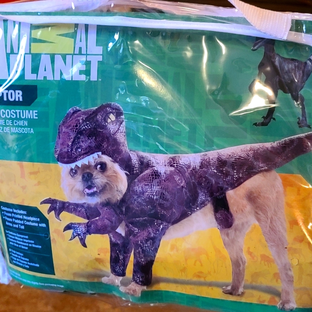 Raptor Dinosaur Halloween Dog Costume - Costume for Dog - Large